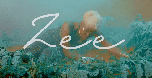 Zee - Die for You Video - Mp4 Download