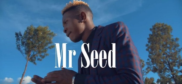 Mr Seed - Simama Mp4 - Video Download