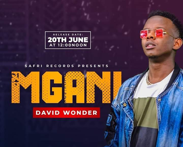 David Wonder - Mgani Mp4 - Video Download