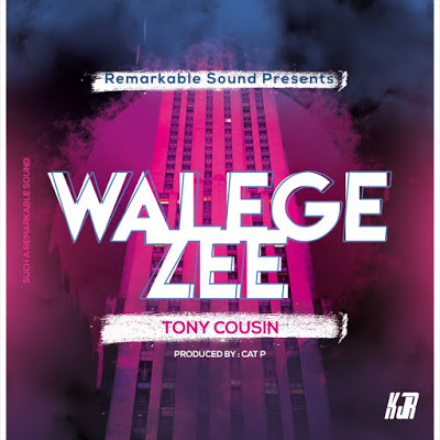 Audio - Tony cousin - WALEGEZEE Mp3 Download