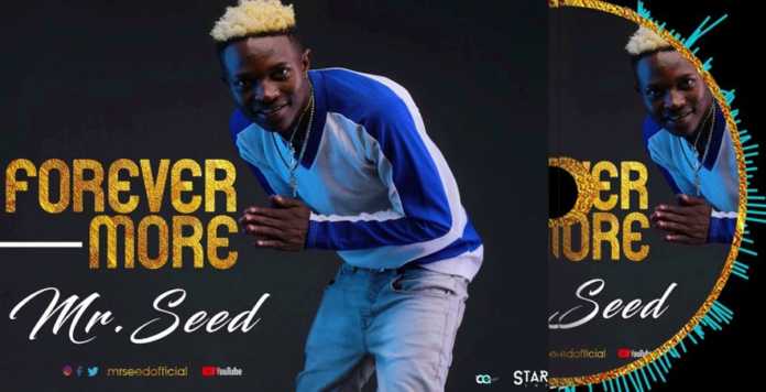 Audio  - MR Seed -  Forever  Mp3 Download