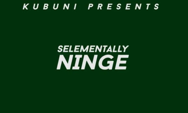 Audio - Selementally - NINGE Mp3 Download