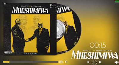 Audio Songa ft Smallz Lethal - Mheshimiwa Mp3 Download